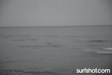 Bird Rock Surf Report
