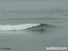 Bird Rock surf report