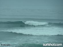 Windansea surf report