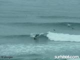 Windansea surf report