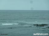 Bird Rock surf report