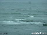 Bird Rock surf report