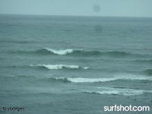Bird Rock surf report