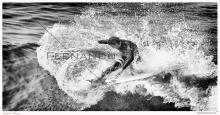 HB Surfing