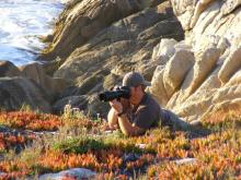 Matt Cummins
La Jolla Photographer
www.coastaleventphotography.com