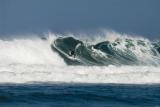 La Jolla Shores Photography www.coastaleventphotography.com