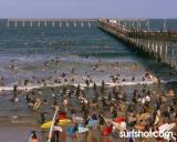 Surfs up!
