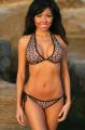 Lusty Leopard